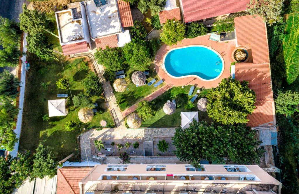 Harmony Hotel & Studio Malia Exteriör bild